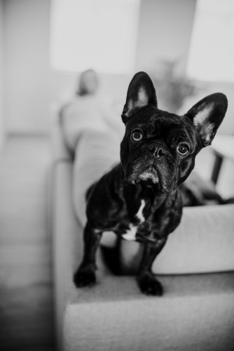 Marcel